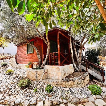 Ata Bungalow Bed and Breakfast Kaş Exteriör bild