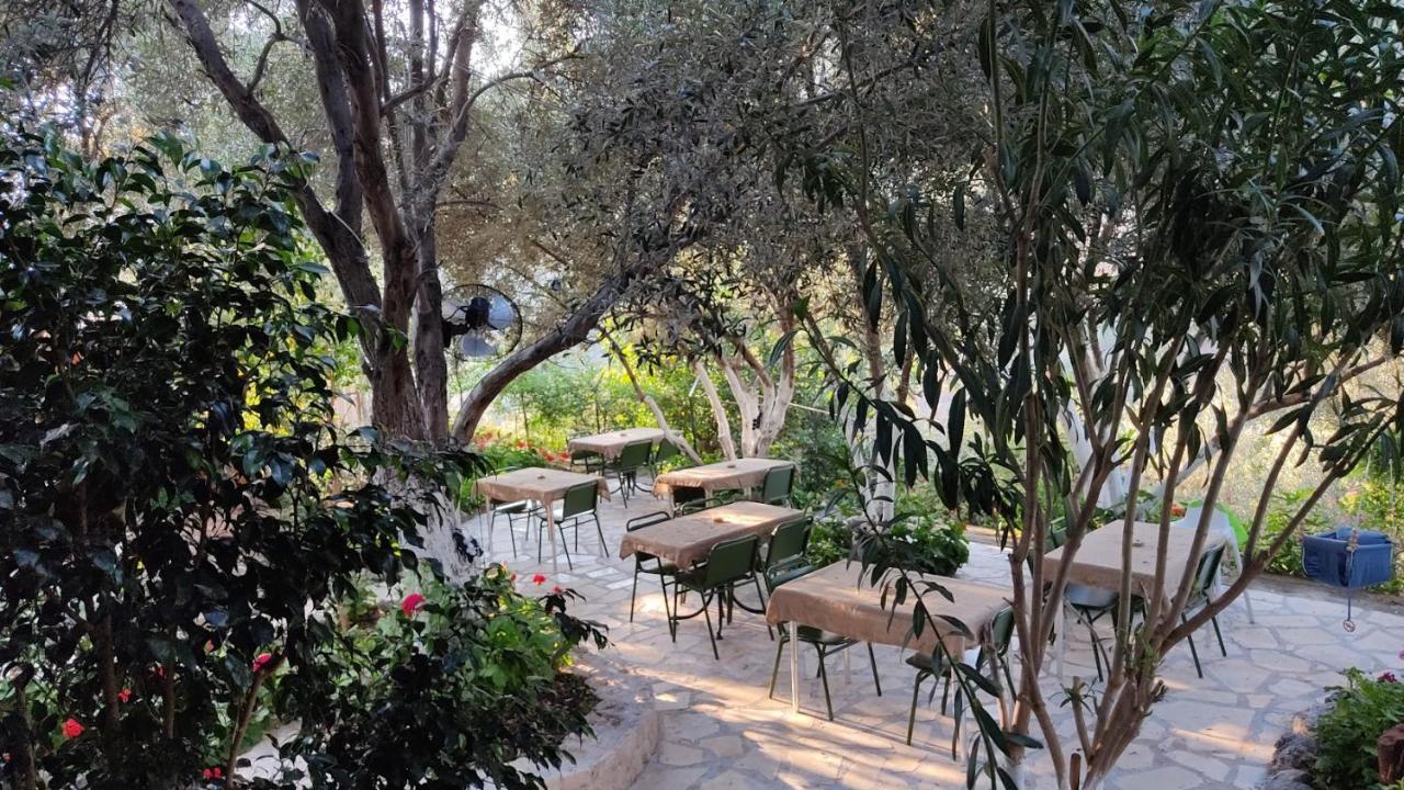 Ata Bungalow Bed and Breakfast Kaş Exteriör bild
