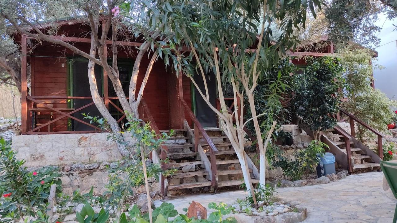 Ata Bungalow Bed and Breakfast Kaş Exteriör bild